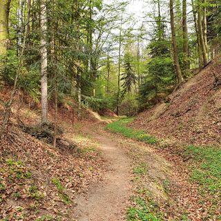 Steinbachklamm, Oststeiermark