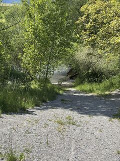 Fotografija s spletne strani Dominik Wymann na poti