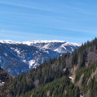 Puchberg am Schneeberg, Niederösterreich/Österreich