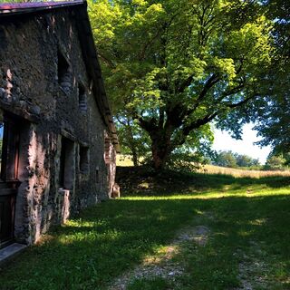 Granges d'Izena - Massif du Grand Colombier