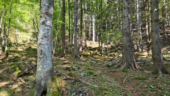 Starting point of the path to Schönbergkar