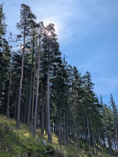 Kuva osoitteesta Reggless matkan varrella