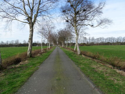 Heilpflanzenlehrpfad