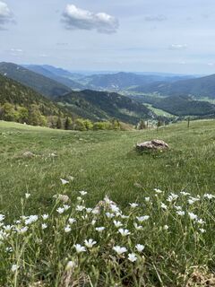 Foto de ttevi a lo largo del recorrido