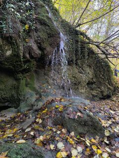 Zdjęcie z Forintos László wzdłuż trasy
