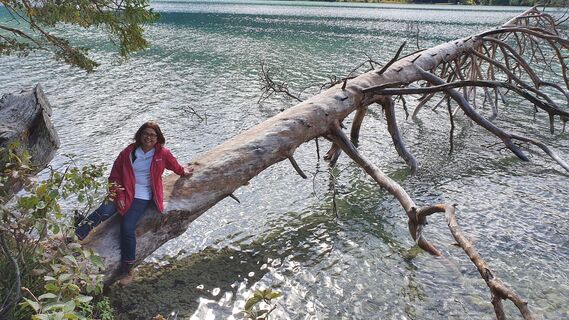 3.1 km Baum im Wasser