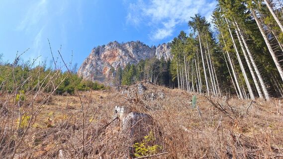 Fotó a Regina Fleischmann honlapról a túra során