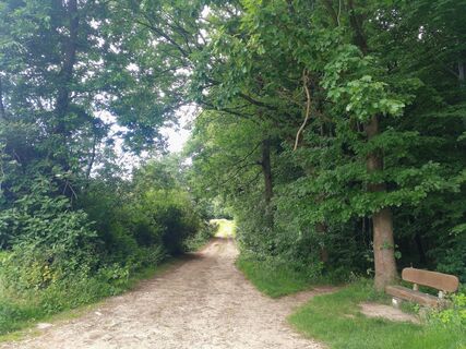 unterwegs am Karl-Bachler-Weg unterhalb des Vierenberges