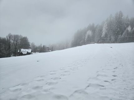 Foto von Franz Russ entlang der Tour