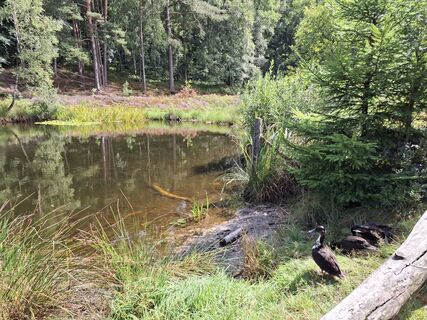 Fotografia z nordbergschnecke na trase