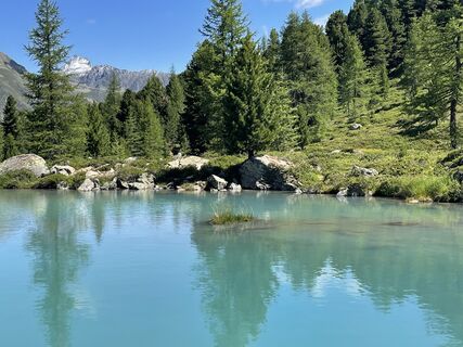 Foto von Ralf Umminger entlang der Tour