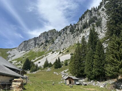 Photo de reemyyse le long du parcours