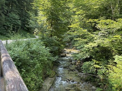 Fotografia z Heinz Sperl na trase