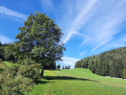 Blick zum Gschnaidter Kreuz in der Oststeiermark