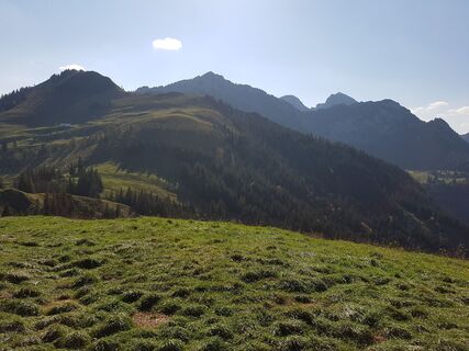 Fotografia z prokon2 na trase