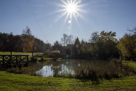 Teich