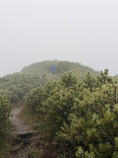 Foto von Maximilian Divischek entlang der Tour
