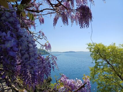 Fotografie z Volker Stähle na trase