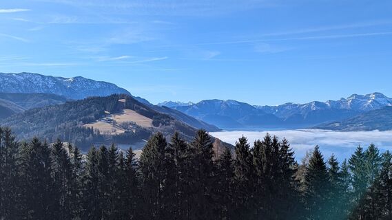 Photo de Ziegler Em1304 le long du parcours