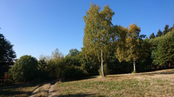 Bild 0