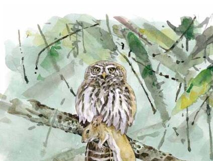 Aquarell aus dem Begleitheft