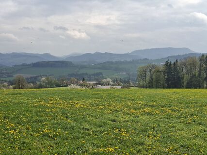 Fotografija s spletne strani ferdinand wieländer 1 na poti