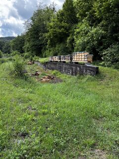 Zdjęcie z Alexander Biach wzdłuż trasy