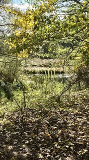 Photo de Mimi le long du parcours