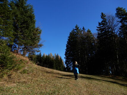 Unterberg