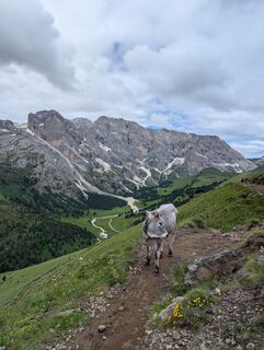Foto von Evert Engelen entlang der Tour
