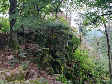 Fotografija s spletne strani Maren Auer na poti
