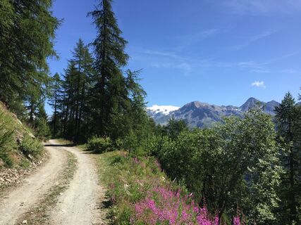 Foto von “Jerry” Brunetti entlang der Tour