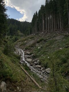 Fotografija s spletne strani Koen De Wit na poti