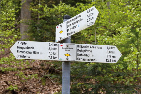 Wegweiser Schwärzhalde