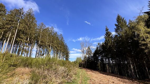 Fotografija s spletne strani Les aventures de Ghislain na poti