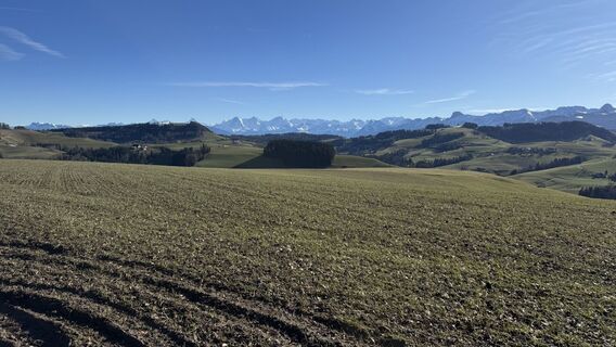 Foto von peter_oe entlang der Tour