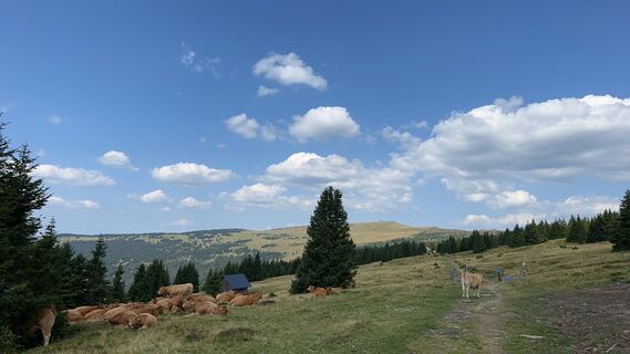 Fotografia z Mani S na trase