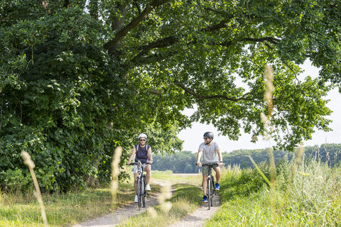 Ilmenauradweg in Bardowick