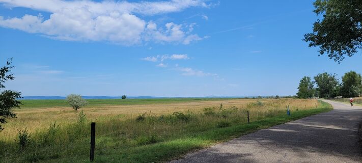 Foto de Nicky a lo largo del recorrido