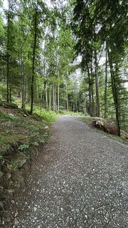 Foto von Rolf Limacher entlang der Tour