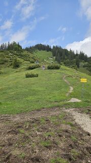 Photo de Christian Thomas le long du parcours
