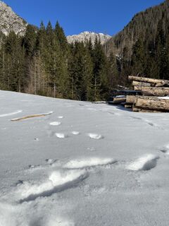 Fotografia z L F na trase