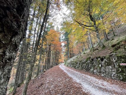 Foto von Simone Soldera entlang der Tour