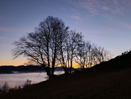 Fotografie z chaos3333 na trase