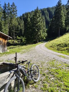 Foto von M entlang der Tour