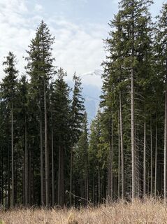 Fotografia z Mandy Friedrich na trase