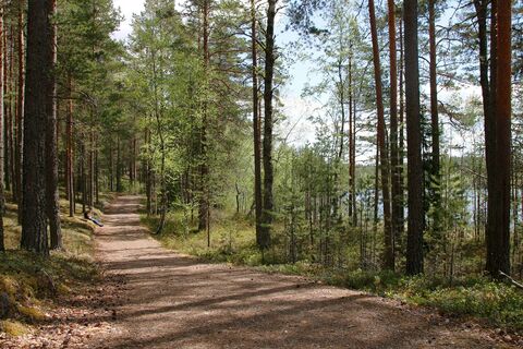 Barrierefreier Abschnitt der Luupää-Runde
