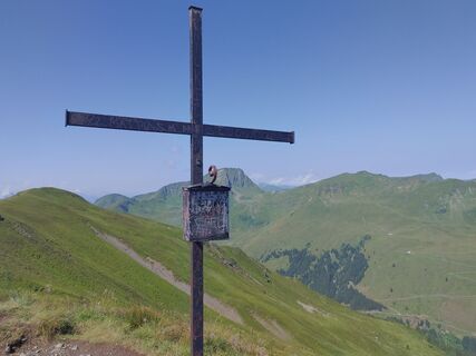 Photo de Tamara Markmann le long du parcours