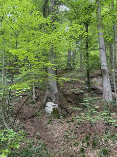 Fotografia z Denise Miller na trase