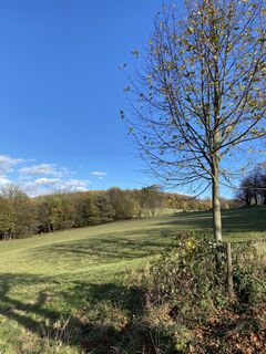 Фото с сайта Thomas Handlir во время экскурсии